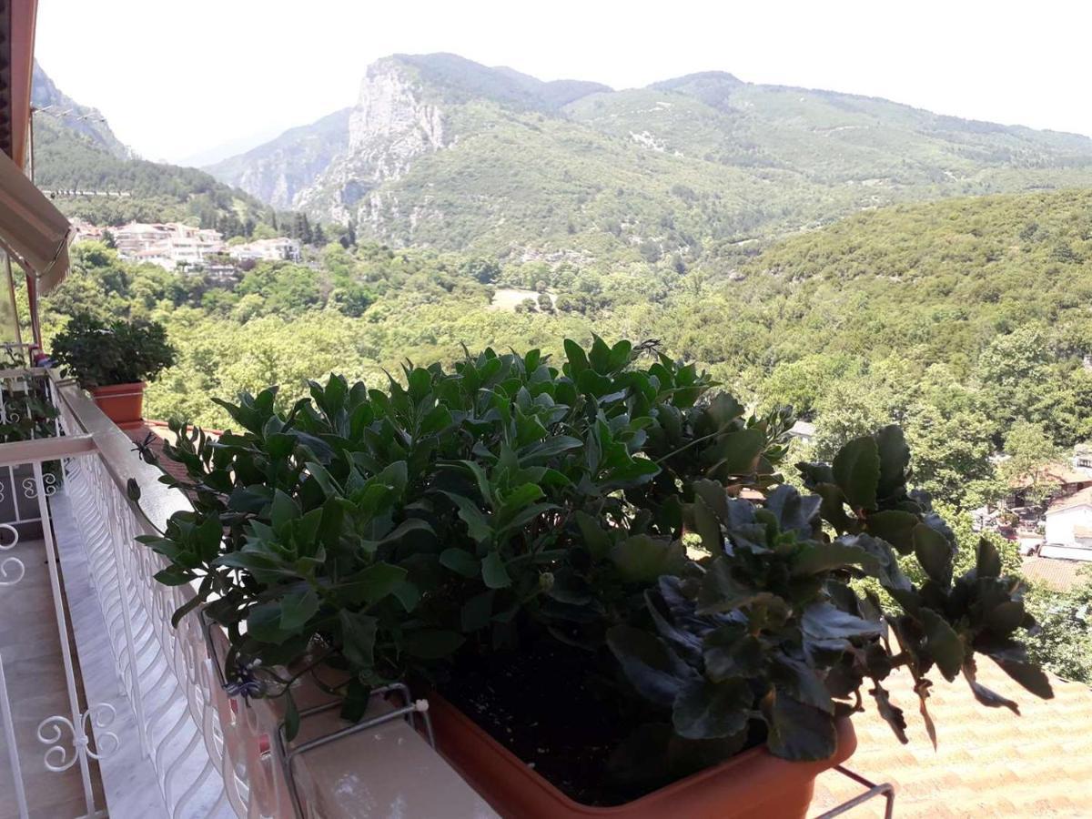 Olympus View Sauna & Guest house